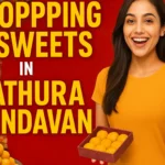 Shopping and Sweets During Mathura Vrindavan Tour